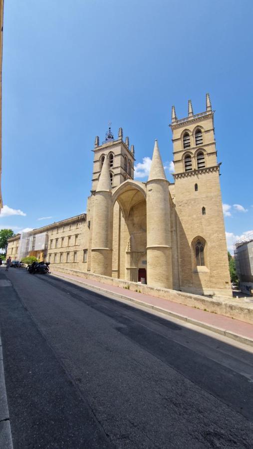 Le Petit Olivier En Coeur De Ville + Parking Incl. Montpellier Eksteriør bilde
