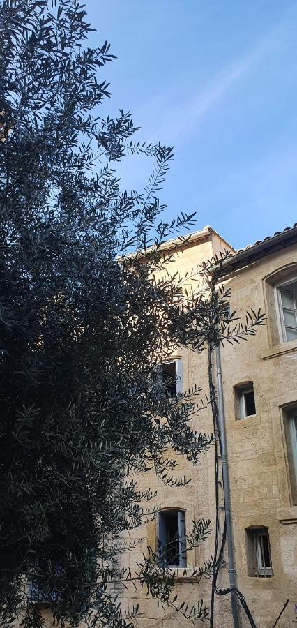 Le Petit Olivier En Coeur De Ville + Parking Incl. Montpellier Eksteriør bilde