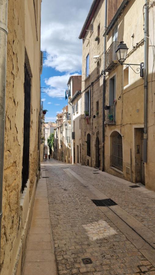 Le Petit Olivier En Coeur De Ville + Parking Incl. Montpellier Eksteriør bilde